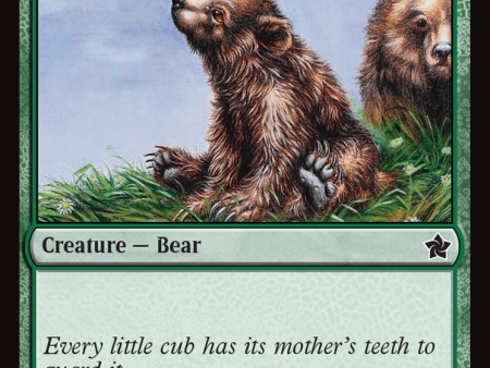 Bear Cub [Foundations] For Discount