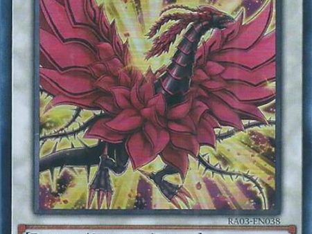 Black Rose Moonlight Dragon (UR) [RA03-EN038] Ultra Rare For Discount