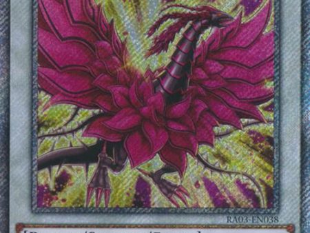 Black Rose Moonlight Dragon (Platinum Secret Rare) [RA03-EN038] Platinum Secret Rare Cheap