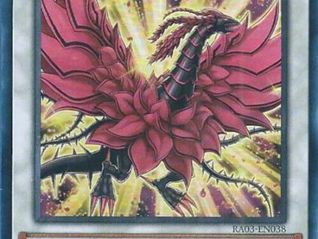 Black Rose Moonlight Dragon [RA03-EN038] Super Rare Discount