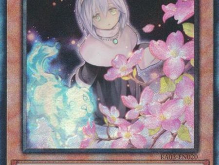 Ghost Sister & Spooky Dogwood (UTR) [RA03-EN020] Prismatic Ultimate Rare For Sale