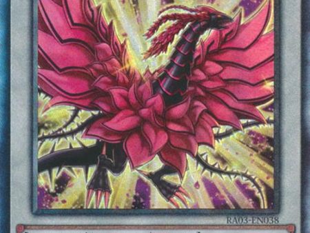 Black Rose Moonlight Dragon (UTR) [RA03-EN038] Prismatic Ultimate Rare For Sale