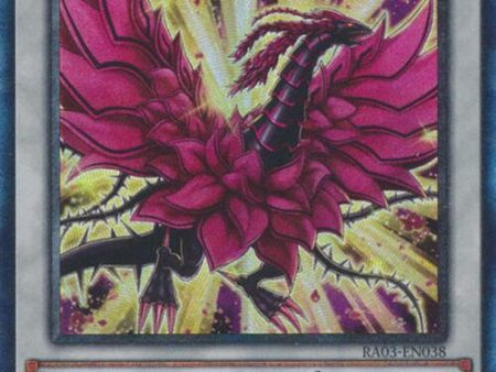 Black Rose Moonlight Dragon (CR) [RA03-EN038] Prismatic Collector s Rare Online Hot Sale