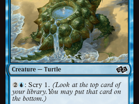 Tidepool Turtle [Foundations Jumpstart] Online now