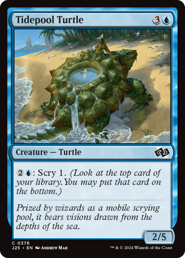 Tidepool Turtle [Foundations Jumpstart] Online now